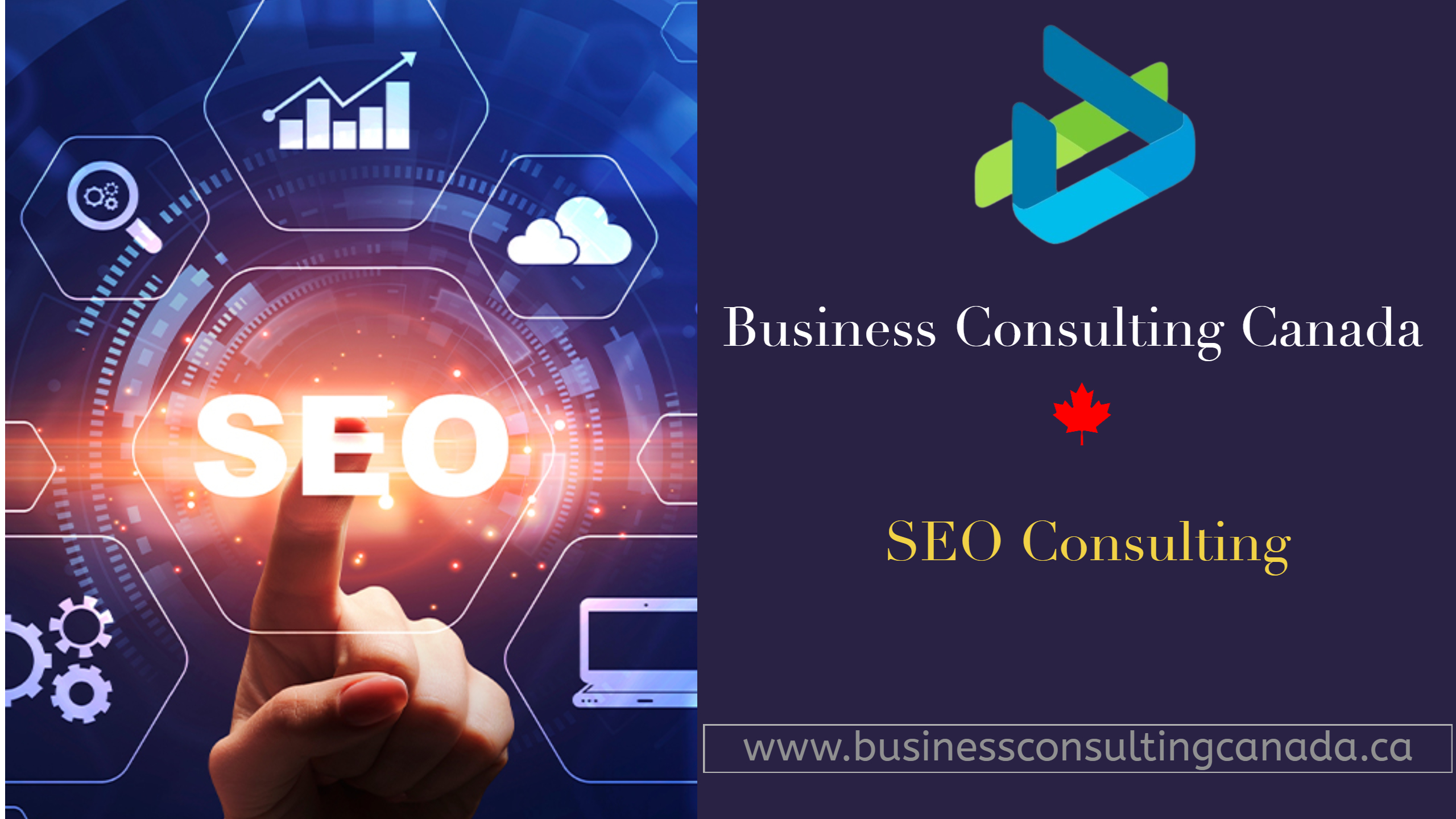 SEO Consulting 