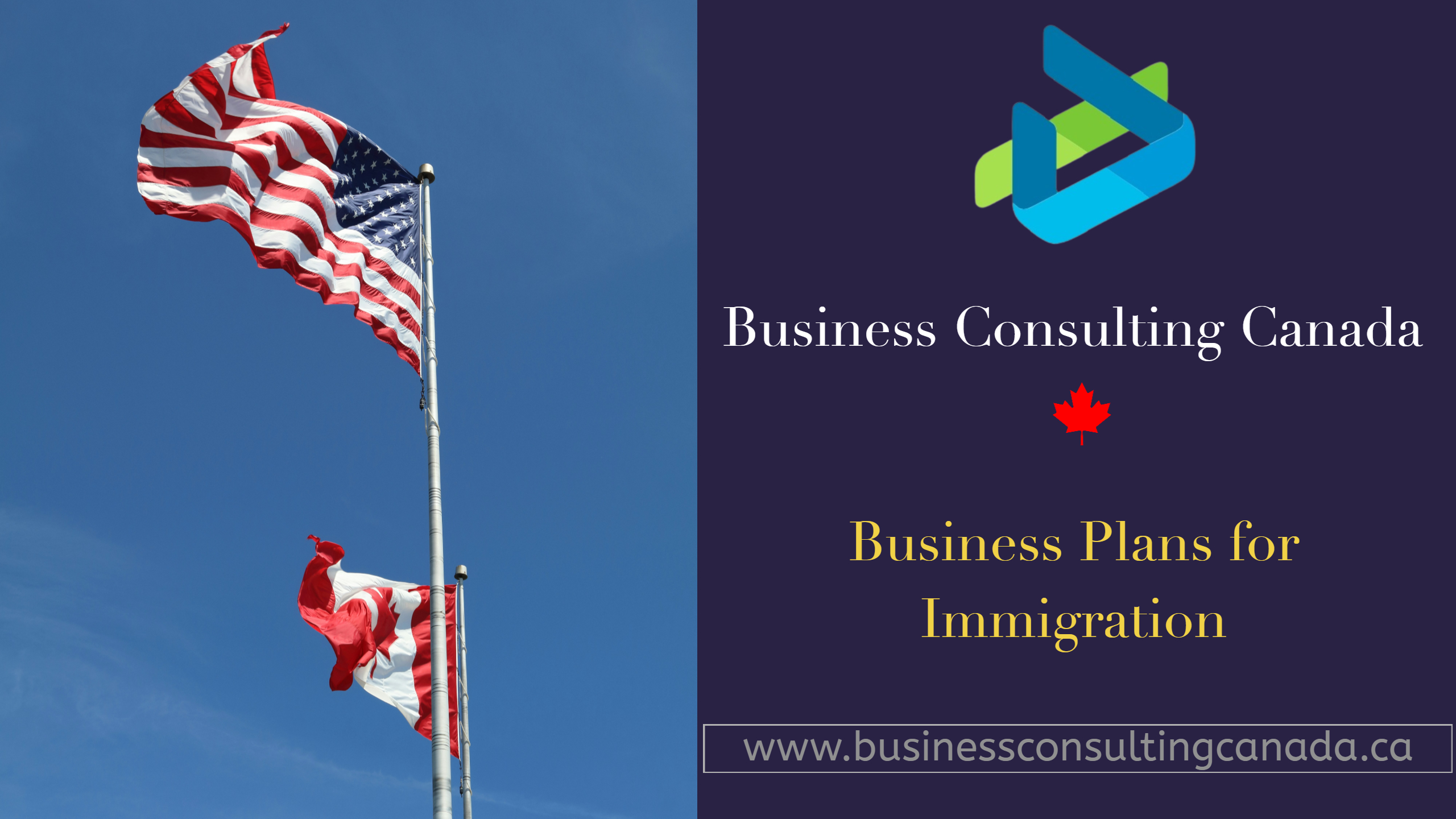 Business Plans for Immigration
