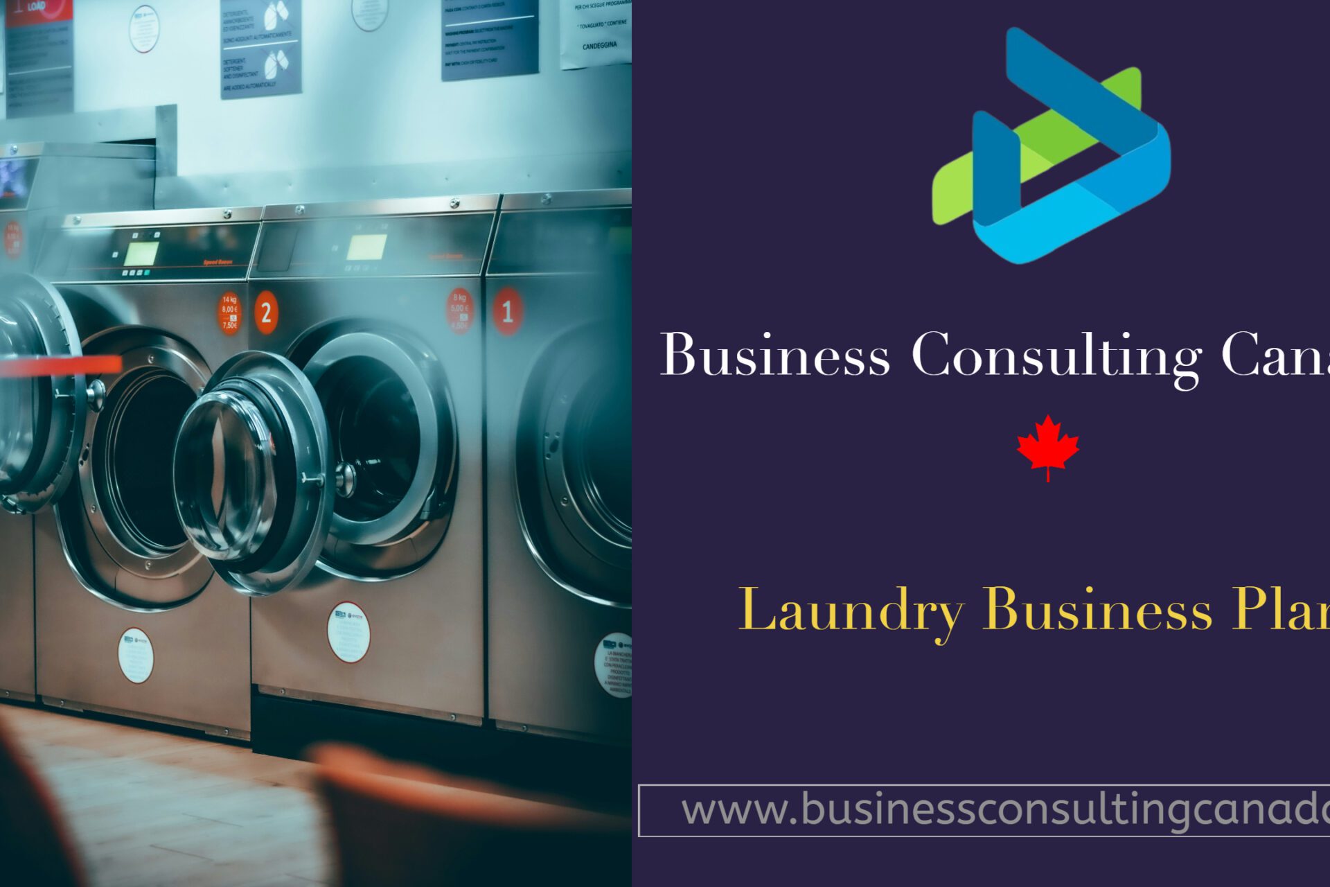 Crafting a Comprehensive Laundry Business Plan: 1 Blueprint for perfect Success