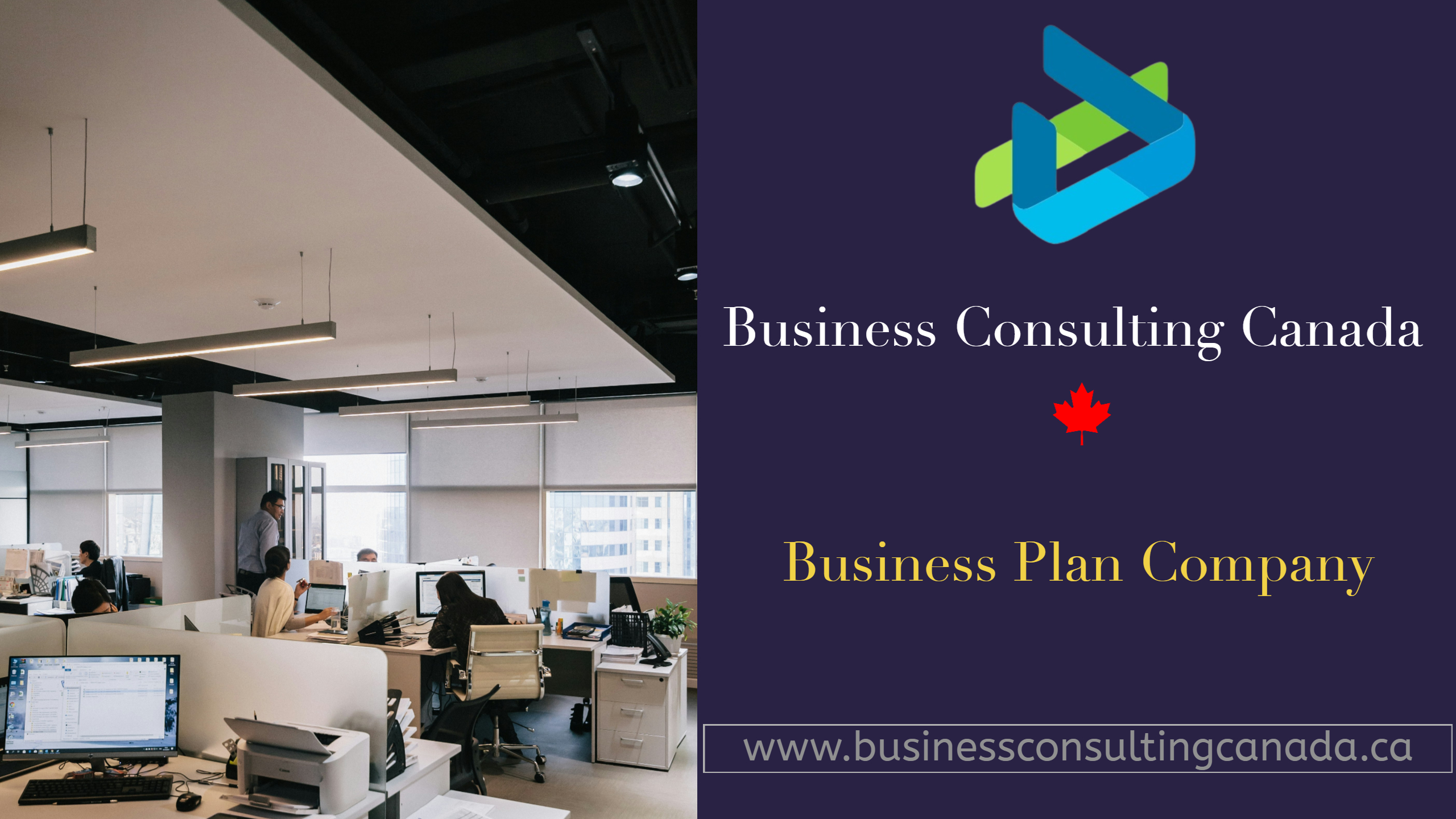 Business Plan Company